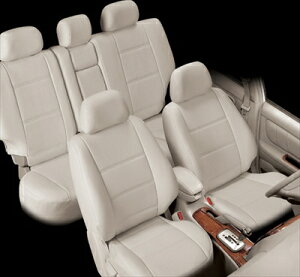 Xe[WA M35n V[gJo[ |Cg O ^]Ȃ̂݃p[V[g