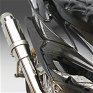 �V�O�i�XX SE44J ���A�A���_�[�J�E�� �h���� ��ʐF ��t��