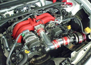 y[z86 ZN6 TNVLbg  MTԗp REDz[X