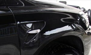 nA[ ACU/MCU/GSU30 FRONT FENDER ECJ[t ht