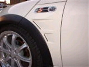 BMW Mini R50/53 _NgttgTChpl FRP fn