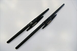 Z2 Rg/RgvX GACp[EVO