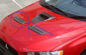 T[G{[V 10 CZ4A BottomLine {lbgTChGA[AEgbg_NgiJ[{j NAhς