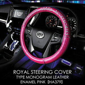 60/65 nA[ XeAOJo[ mOU[ GisN STCY