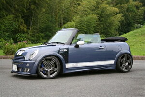 Mini R50/R52/R53 N[lGfBV TChXebv L/R FRP hς