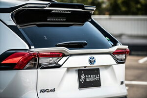 50n RAV4 AQ[gX|C[ fn