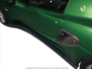 LOTUS ELISE 2 SIDE STEP PANEL �J�[�{���� ��t��