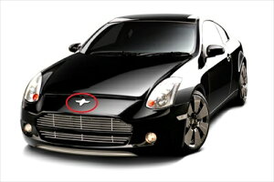V35 COUPE/G35COUPE XJCC BLACK×METAL Gu