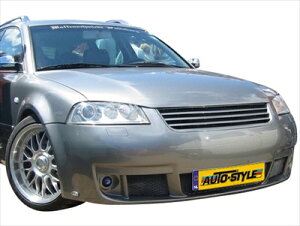 VW Passat 3BG Radiator Grille with Fins without Emblem
