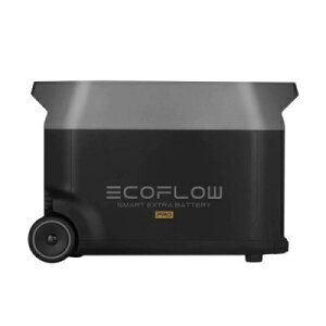 |[^ud GRt[ EcoFlow DELTA delta f^ vp GNXgobe[