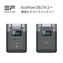 楽天市場】エコフロー ポータブル電源 デルタミニの通販