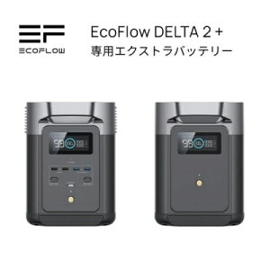 |[^ud GRt[ EcoFlow DELTA delta f^ 2+p GNXgobe[