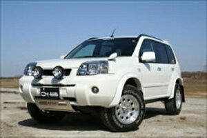 �G�N�X�g���C�� T30 �I�[�o�[�t�F���_�[ 30mm �}�C�i�[�� (15�N6���`) ��p�^�C�v