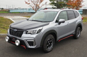 SK �t�H���X�^�[ 10mm���C�h �I�[�o�[�t�F���_�[ �h����t