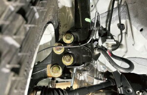 160n TNV[h v{bNX CLS-FOX tgAbvXy[T[ (40mm)