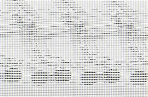 CC25 Zi nCEFCX^[ 2WD AUTHORIZE A-S }t[ }Ci[ t