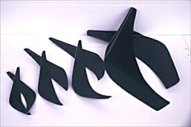 汎用　カーボンカナード S