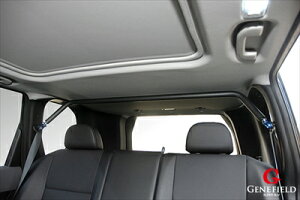 GNXgC 31 GENEFIELD s[o[(veNVubNpbgt)