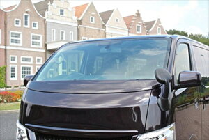 NV350Lo E26 W{fB VALIANT Cp[K[h