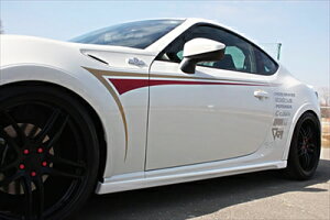 ZC6 BRZ TChXebv FRP +TChXebvpl ht