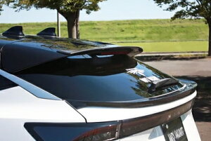 FE0 ARIYA AA Q[gX|C[ DJ[{ fn