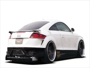 AUDI TT 8J GECKO U4th GL][XgVXe (XeX)