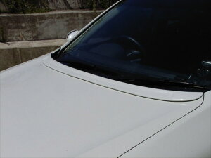 Xe[WA M35 {lbgX|C[ ht