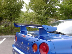 BNR34 �E�C���O���t�g�A�b�v�X�e�[ FRP 6cmUP �h���ς�