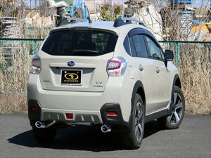 Xo XV nCubh DAA-GPE PASION EVO P.B.S XeX}t[ u[e[ Eo