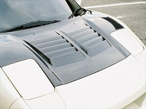 NSX GT�{���l�b�g �J�[�{��FRP�d�l �h���ς�