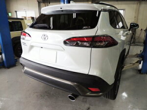 ZSG10 �J���[���N���X �}�t���[�J�b�^�[