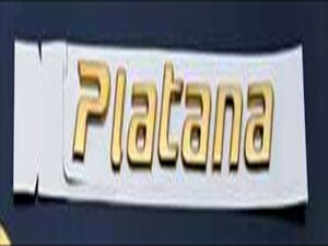 アイシス 10系 後期 ソリッドカラーエンブレム PLATANAロゴ ブラッククローム