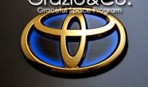 ANA NHP10 O \bhJ[Gu tgpT}[N S[h