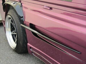 nC[bggbN S201P/S211P  rL[mXyV TChplptB