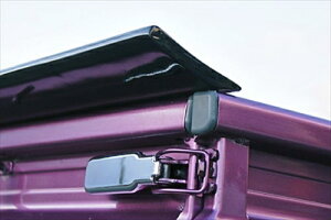 nC[bggbN S201P/S211P O/ AEBO