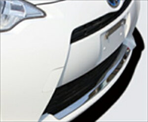 ANA NHP10 tgop[veN^[