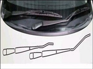 eB[_ C11 (2008.1`) }WJJ[{ Cp[A[Zbgitg{Aj J[FK^