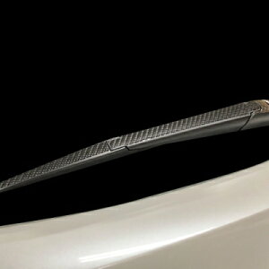 ZVG11 J[NX nCubhZ 2021.9- A[gV[gNEO ACp[ ubN