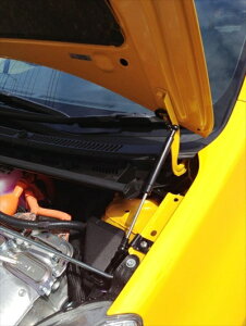 ANA HNP10 EARTH{lbg_p[