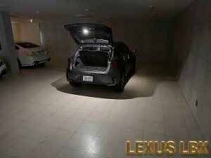 MAYH1#/GAYA16 LBX LEDIST �J�[�S�����v LED�����J���[:�z���C�g