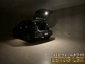 MAYH1#/GAYA16 LBX LEDIST �J�[�S�����v LED�����J���[�F�E�H�[���z���C�g