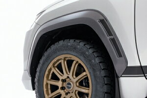 NTX LX600 JAOS I[o[tF_[ type-R 22+