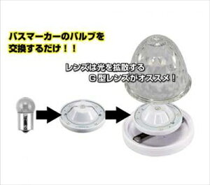 LEDnCp[}[J[vjbg 12/24Vԋp g