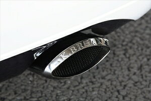 NE 17 COMPLETE KB-TRIBAL }t[ I[XeEo t