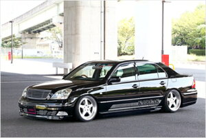 ZVI 30n O TypeV PLATINUM tgop[/TChXebv/Aop[ GA3_Zbg ht