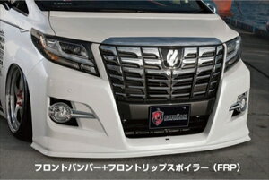 At@[h 30n S/SA COMPLETE LEVEL S tgop[ptgbvX|C[ FRP ht