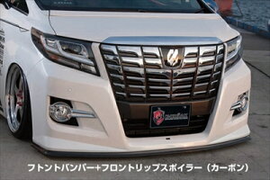 At@[h 30n S/SA COMPLETE LEVEL S tgop[ptgbvX|C[ J[{ t