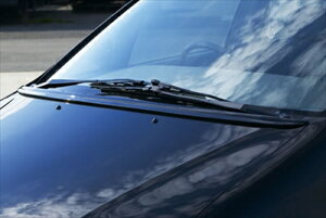 IfbZC RA1 V-LUX {lbgX|C[ hς