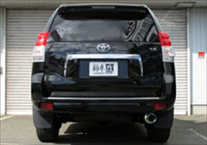 hN[U[vh CBA-TRJ150W GT box 06S }t[ (2010VKΉf)