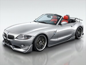 BMW Z4 E85 O ERSTEKLASSE 3_Lbg F/S/R hς